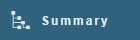 Summary panel button.jpg