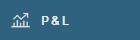 P&L panel button.jpg