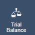 Trial Balance button.jpg