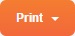 Print button.jpg